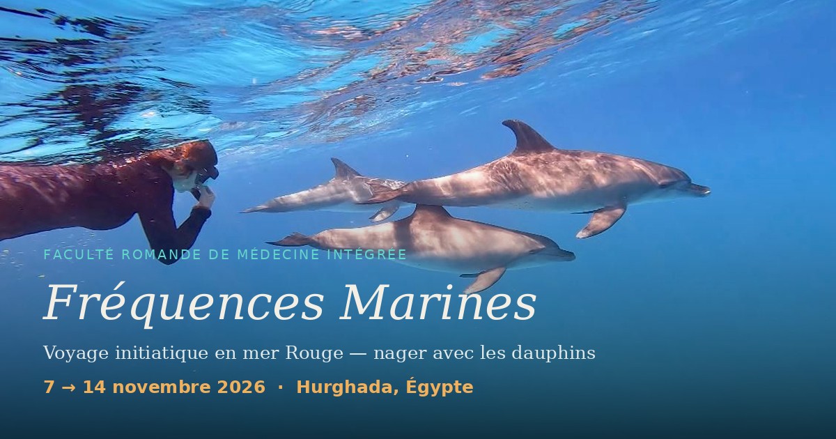 Fréquences Marines — nager avec les dauphins en mer Rouge, du 7 au 14 novembre 2026