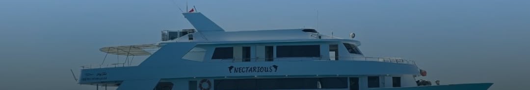 Le Nectarious, le bateau qui nous accueille une semaine en mer Rouge